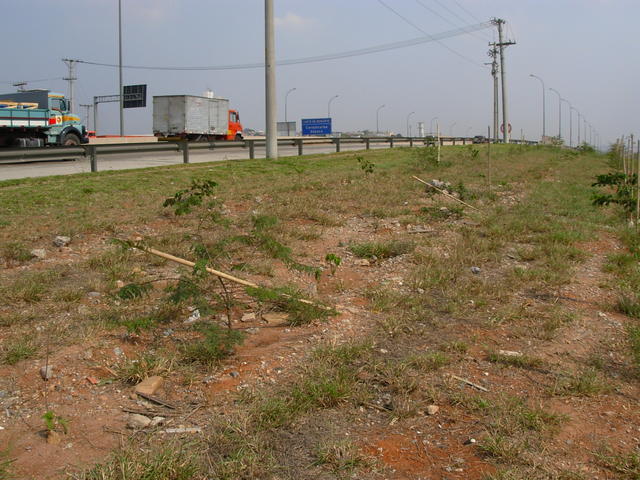 DSCN2599.JPG