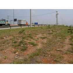 DSCN2599.JPG
