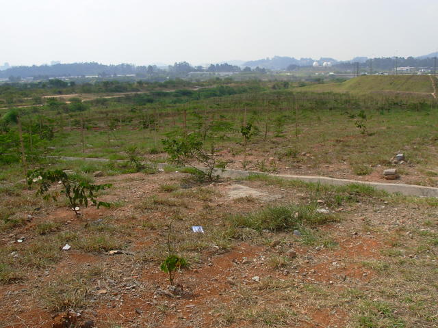 DSCN2600.JPG