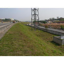 DSCN2611.JPG