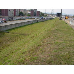 DSCN2612.JPG
