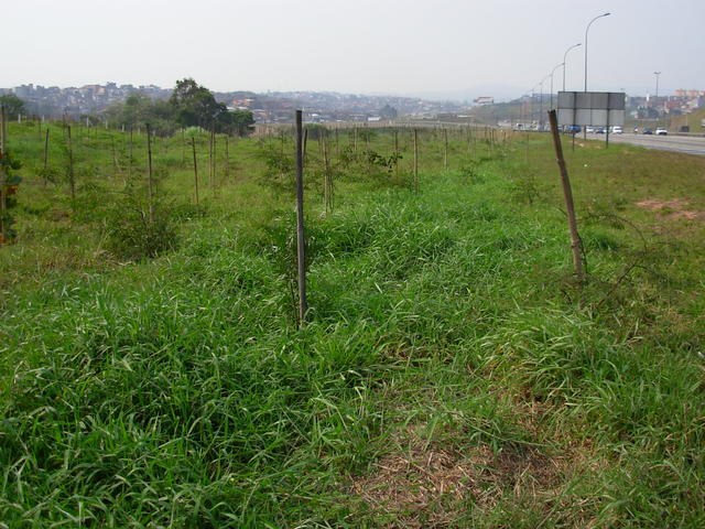 DSCN2631.JPG