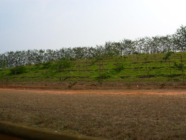 DSCN2658.JPG