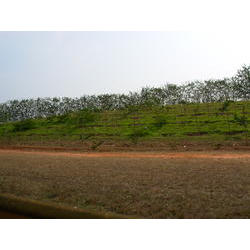 DSCN2658.JPG