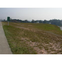 DSCN2661.JPG