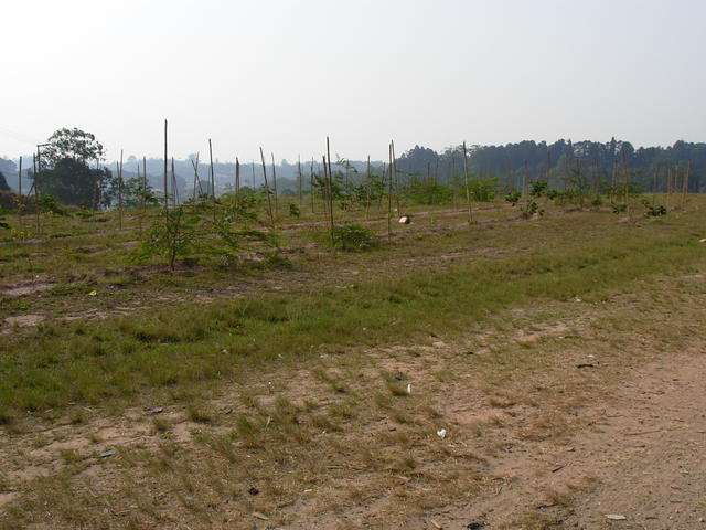 DSCN2662.JPG
