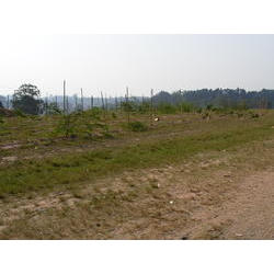DSCN2662.JPG