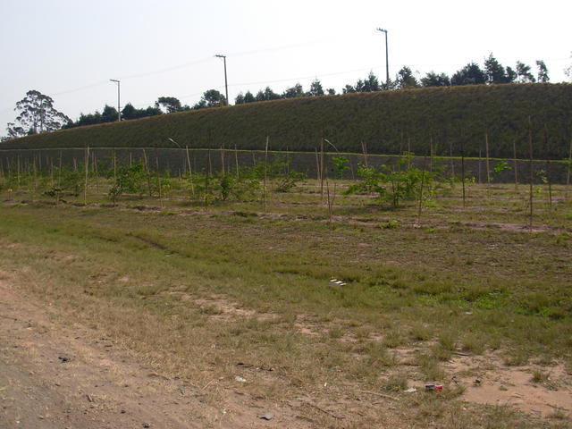 DSCN2663.JPG