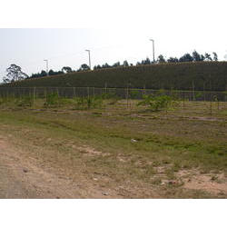 DSCN2663.JPG