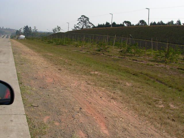 DSCN2664.JPG