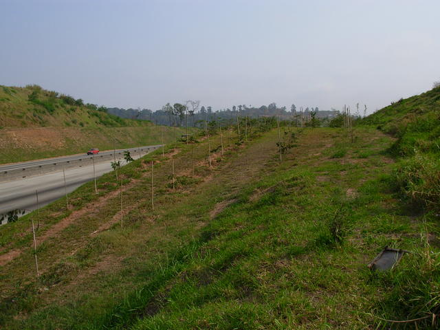 DSCN2665.JPG