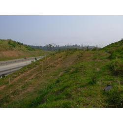 DSCN2665.JPG