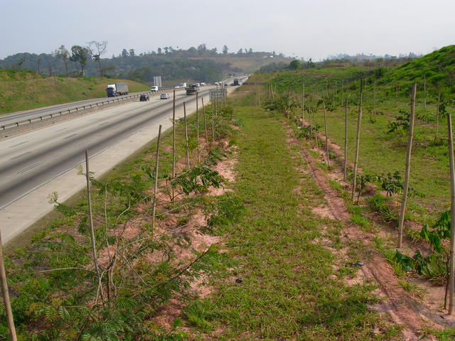 DSCN2666.JPG