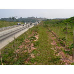 DSCN2666.JPG