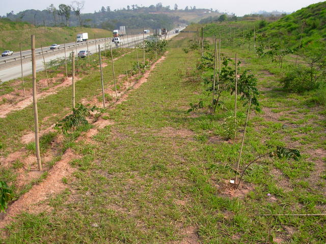 DSCN2667.JPG