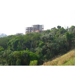 DSCN2668.JPG