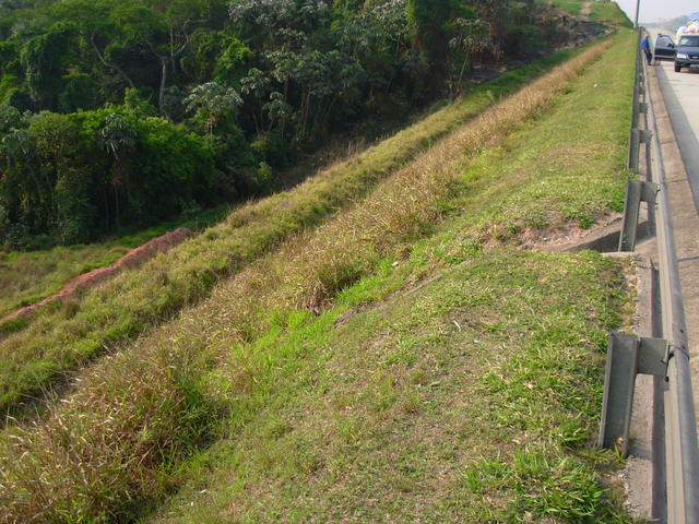 DSCN2672.JPG