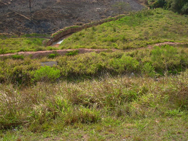 DSCN2673.JPG