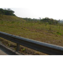 DSCN2674.JPG