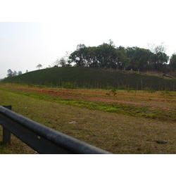 DSCN2677.JPG