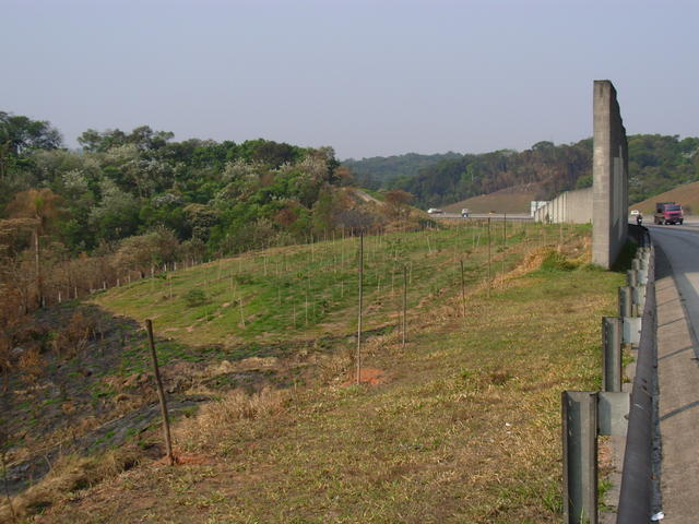 DSCN2679.JPG