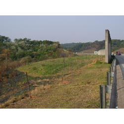 DSCN2679.JPG