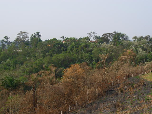 DSCN2681.JPG