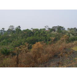DSCN2681.JPG