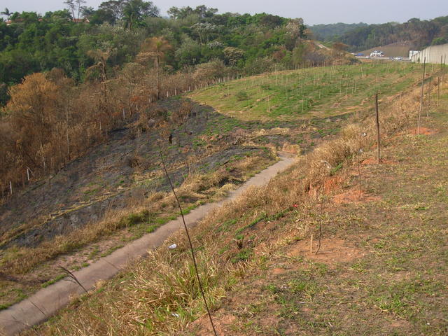 DSCN2682.JPG