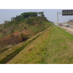 DSCN2685.JPG