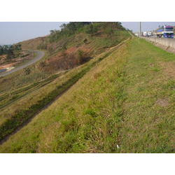 DSCN2686.JPG