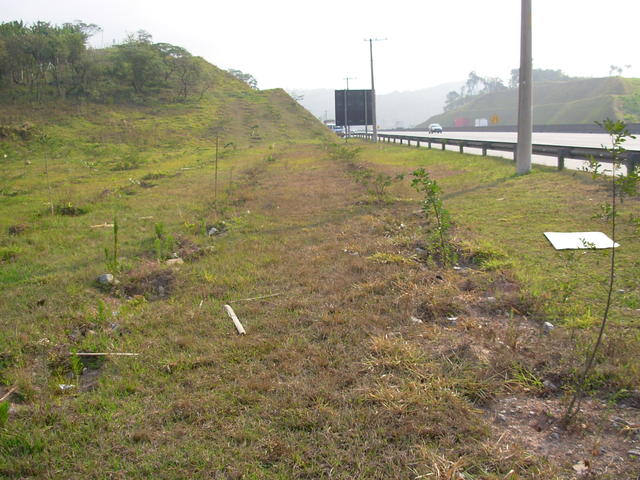 DSCN2709.JPG