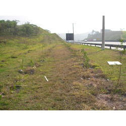 DSCN2709.JPG