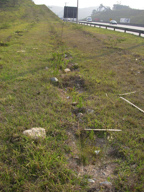 DSCN2710.jpg