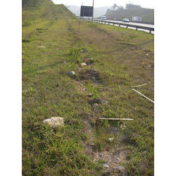 DSCN2710.jpg