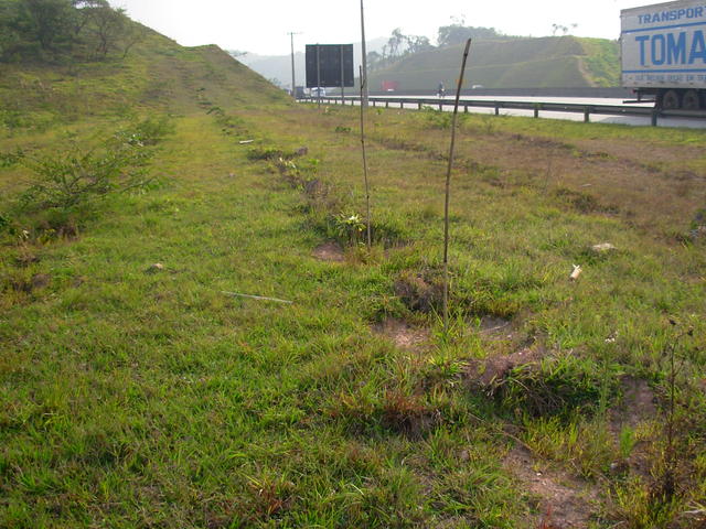 DSCN2711.JPG