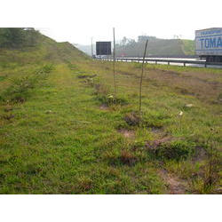 DSCN2711.JPG