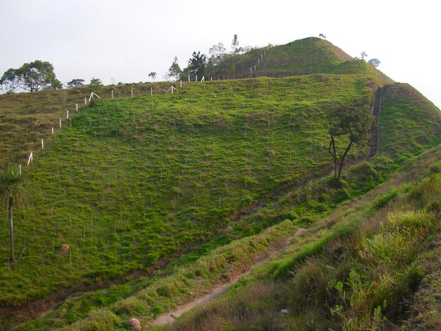 DSCN2713.JPG