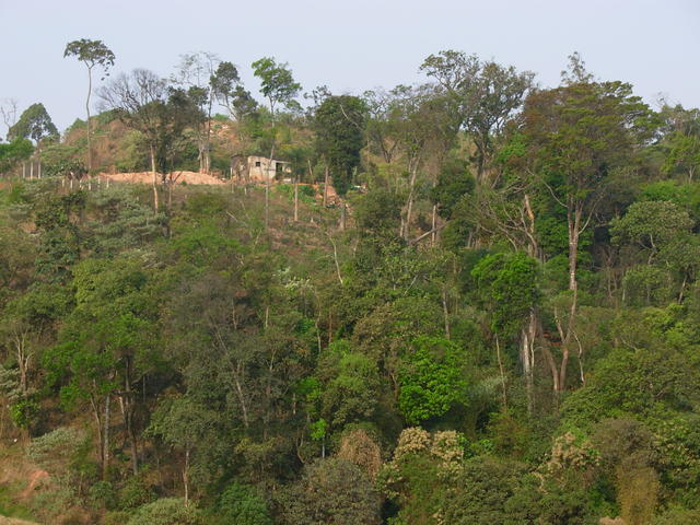 DSCN2715.JPG