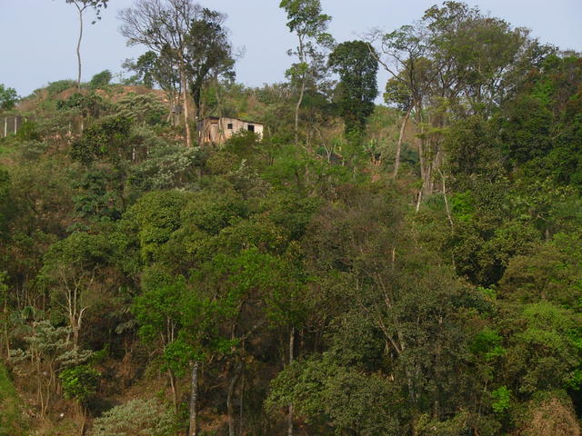 DSCN2716.JPG