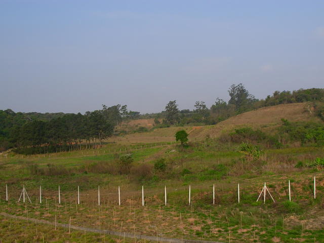 DSCN2719.JPG
