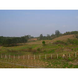 DSCN2719.JPG
