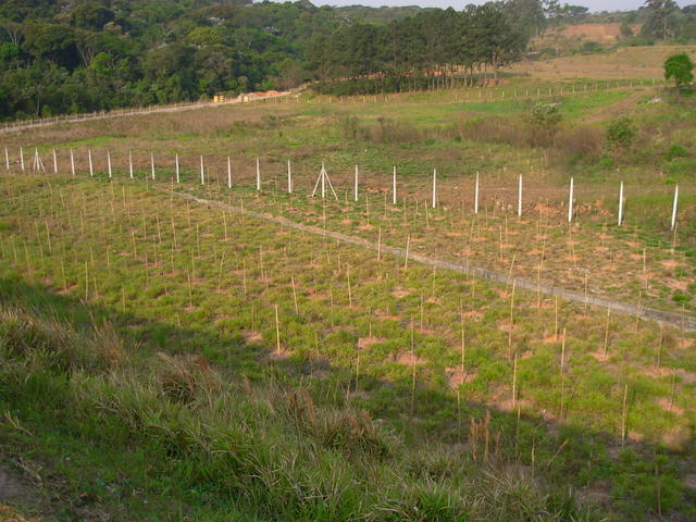 DSCN2720.JPG