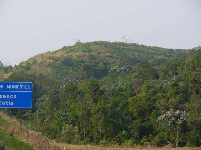 DSCN2722.JPG