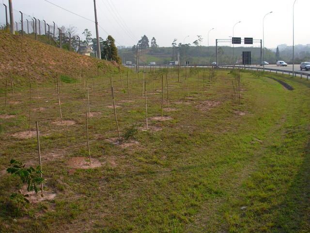 DSCN2723.JPG