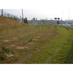 DSCN2723.JPG