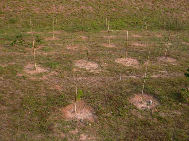 DSCN2724.JPG
