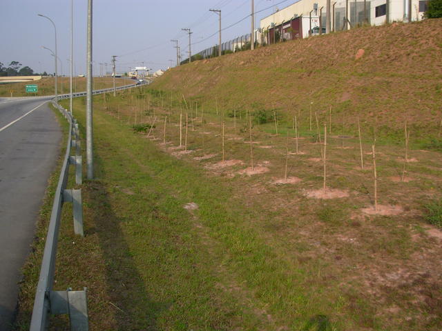 DSCN2725.JPG