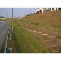 DSCN2725.JPG