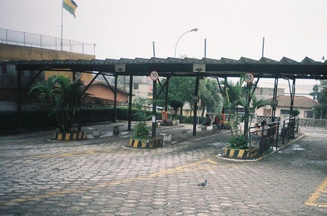 f4ses_ana-02.jpg